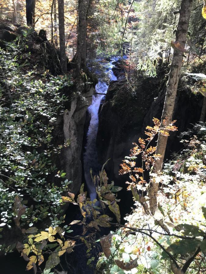 Апартаменты Kraehenberg Am Rande Der Wildnis Sibratsgfall Экстерьер фото