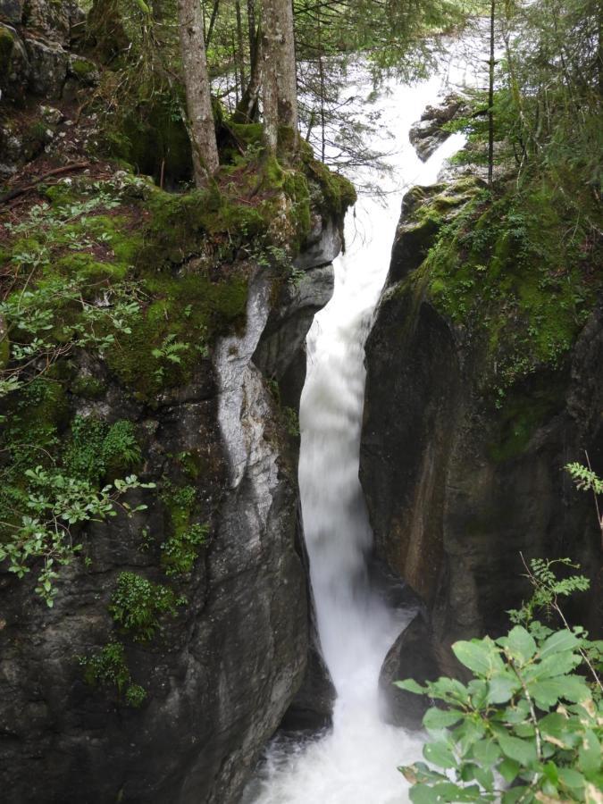 Апартаменты Kraehenberg Am Rande Der Wildnis Sibratsgfall Экстерьер фото